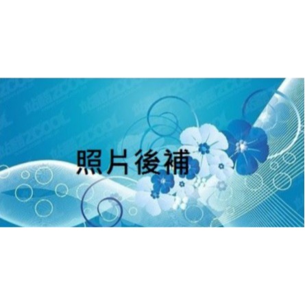 ❣️ 美妍社 ❣️ 附發票 北条博士 真視能游離型葉黃素 (凝縮型) 30粒 Dr.Hojyo 真視能葉黃素