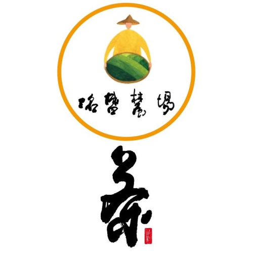 紅玉白茶茶包