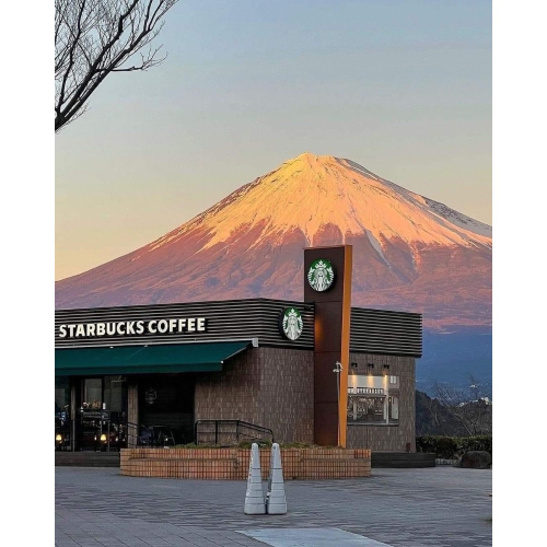 蝦嘟嘟