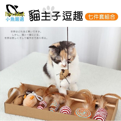【小魚生活館台灣現貨】貓主子逗趣七件組