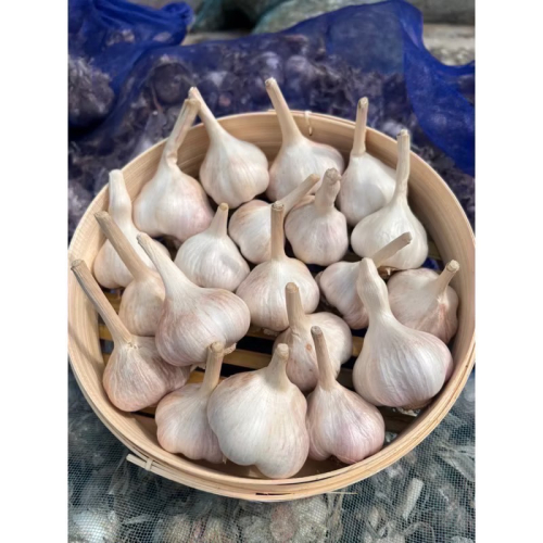 雲林黑葉蒜頭?乾蒜有整理‼️