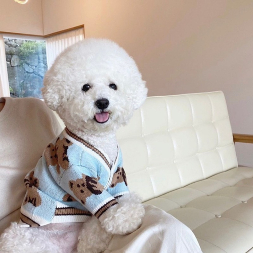 【汪喵森活】泰迪熊針織衫 3色 毛衣 狗衣服 比熊 博美 貴賓 貓咪 小狗服飾 吉娃娃 雪納瑞 西施 比熊犬 秋冬服飾