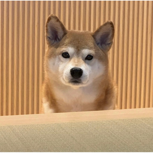 銓媽