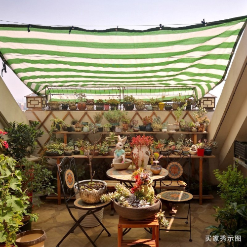 庭院綠植多肉遮陰網遮陽網3針6針包邊加密隔熱陽臺防曬網園藝用品