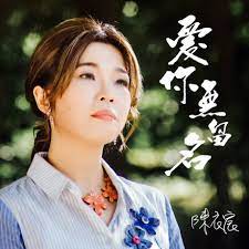 陳衣宸 - 愛你無留名**全新**CD+DVD
