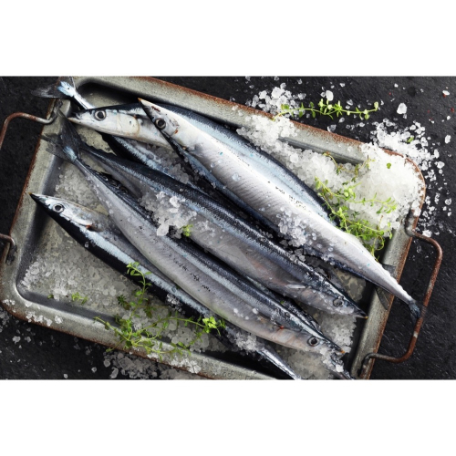 野生極鮮特選秋刀魚x3尾50包倍數免運，不散出