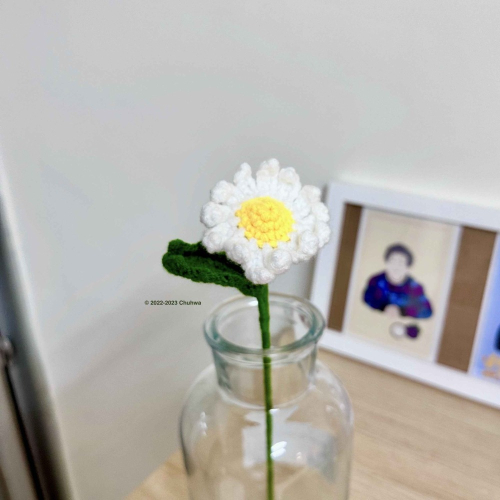 Daisy. 雛菊