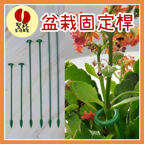 盆栽固定桿 植物支撐桿 植物支架 蘭花夾 植物支撐架 盆栽支架 爬藤支架 花盆支撐架 花架 固定桿【P0552】