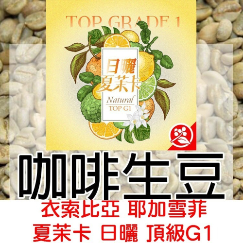 年生豆 衣索比亞 耶加雪菲 夏茉卡 頂級 日曬G1／水洗 |紅圈計畫-世界咖啡生豆 咖啡豆 精品豆 莊園豆