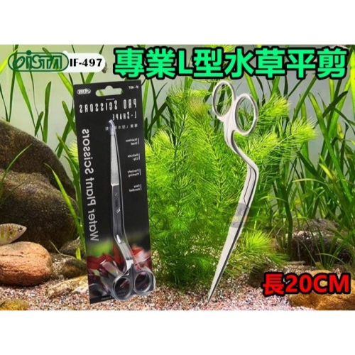 IF-497 伊士達 ISTA 專業L型水草平剪 前景草皮修剪 水草剪 魚缸造景 不鏽鋼材質 水草修剪